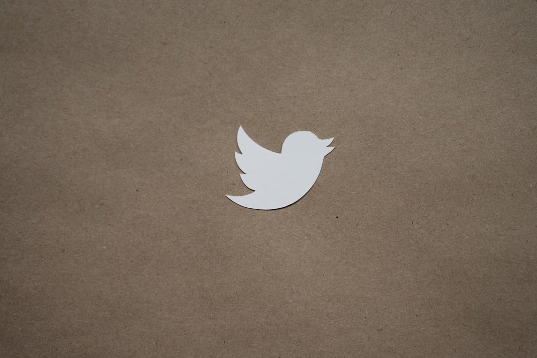 Photo "Twitter Bird"