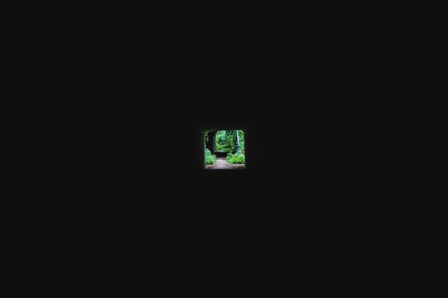 Photo "how much is duo spotify"