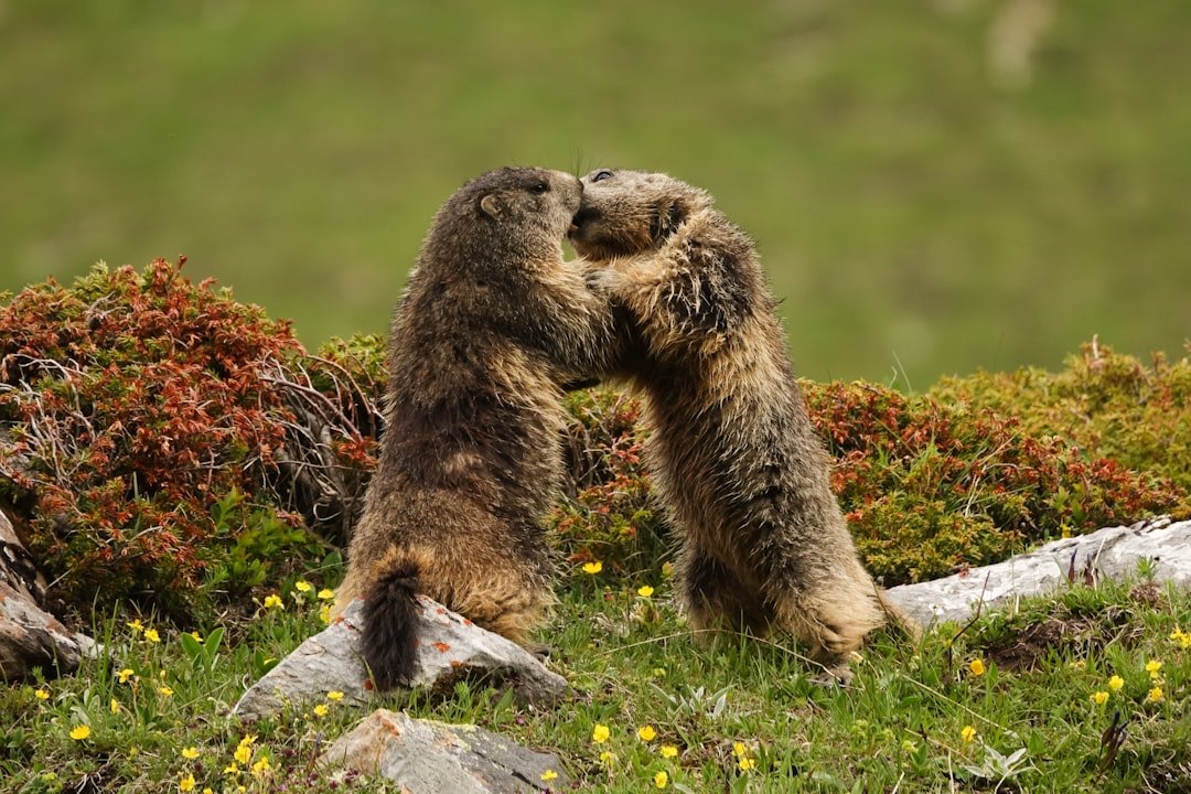 Photo Supportive embrace